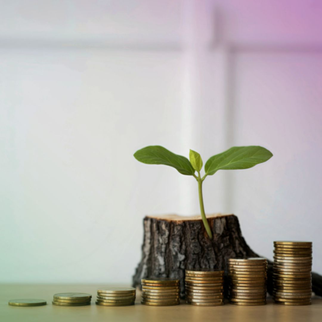 Financial Coaching (7)