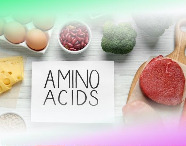 Protein nutrition and amino acids