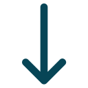 down arrow