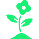 Employee growth and development icon